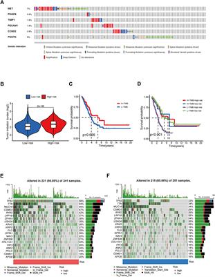 Application of an angiogenesis-related genes risk model in lung adenocarcinoma prognosis and immunotherapy